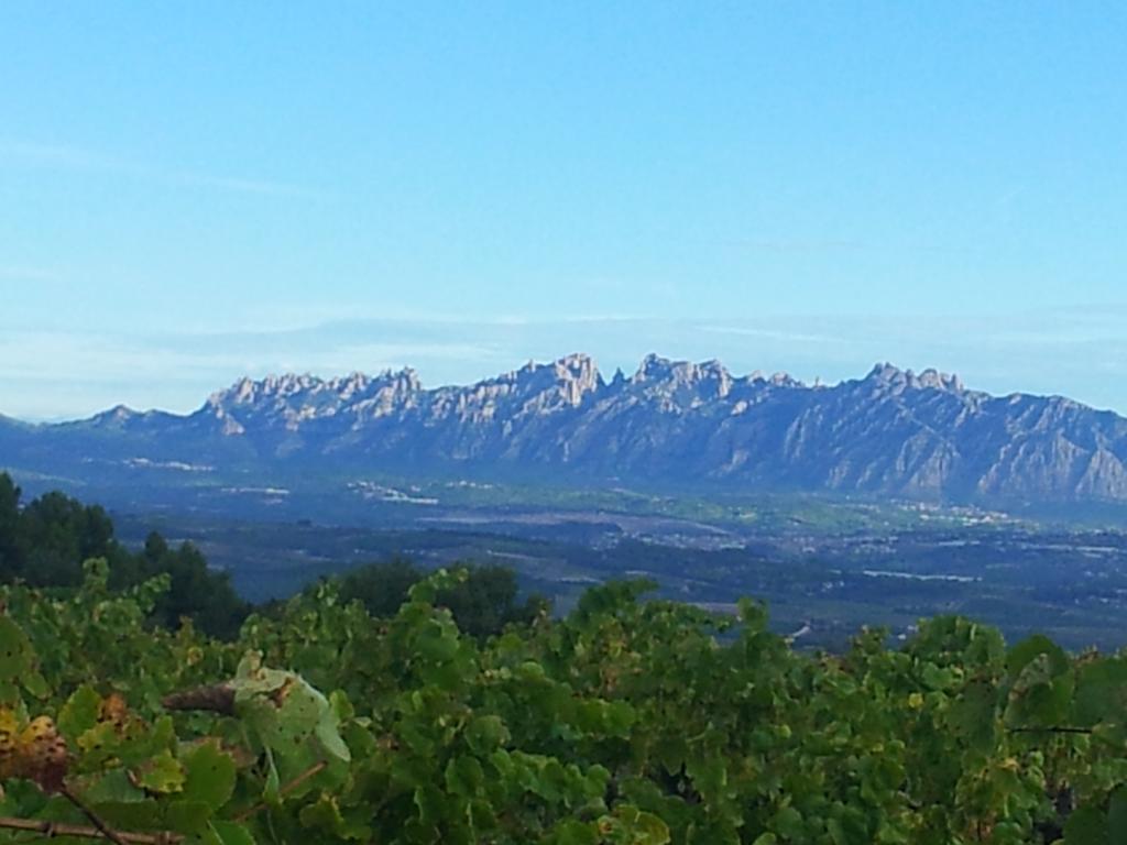 Agroturisme Cal Jeroni Avinyonet del Penedes Exterior photo