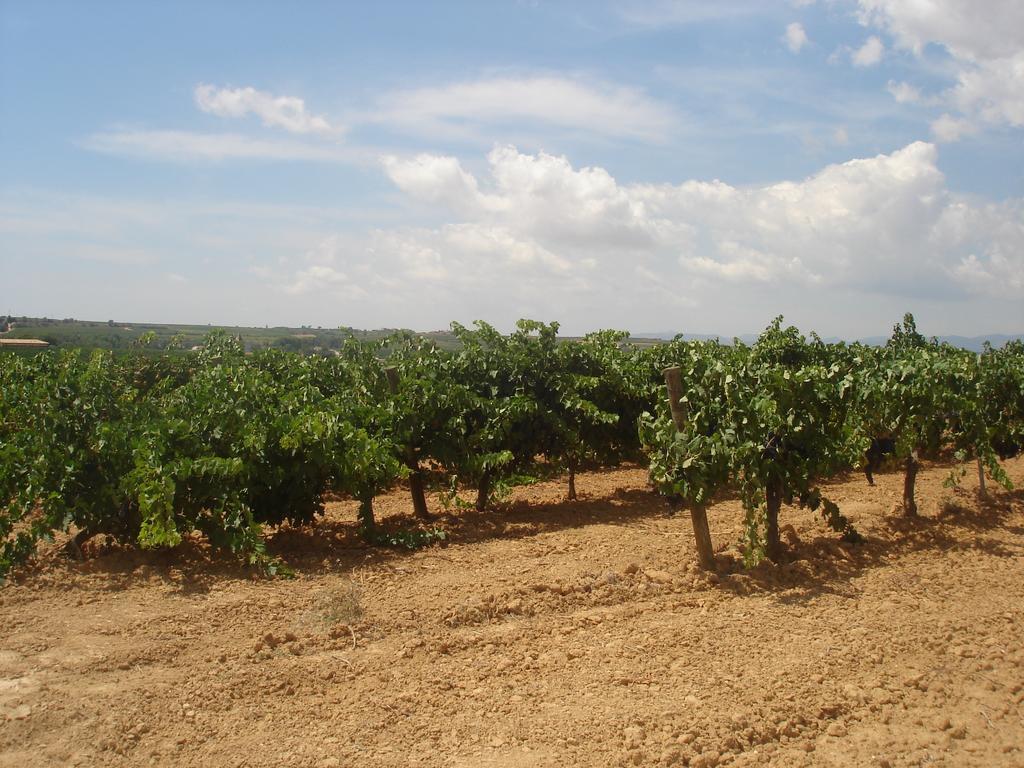 Agroturisme Cal Jeroni Avinyonet del Penedes Exterior photo
